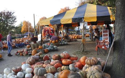 Dates Set for 2017 Cooper Trooper Pumpkin Patch