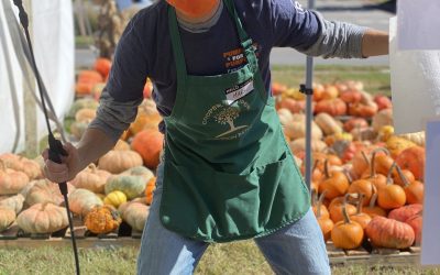 Pumpkin Patch Has Record Year in 2020, Despite Covid-19